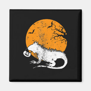 Íman Engraçado Iguana Pumpkin Figurume Homens Mulheres