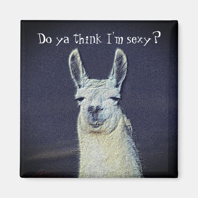 Íman Engraçado Llama Face Animal  (Frente)