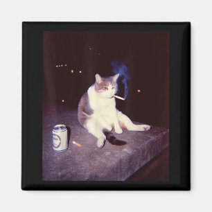 Íman Engraçado Memória Fumante Cigarro Kitten Brainrot 