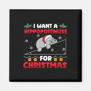 Íman Engraçado Professor de Matemática de Natal Hippopo