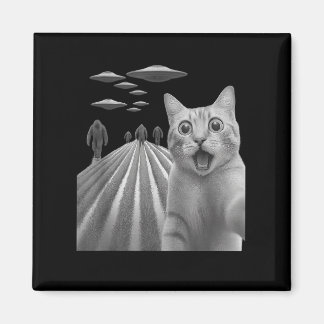 Íman Engraçado Surpreendido Gato Assustado Selfie Com P