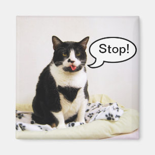 Íman Engraçado Tuxedo Cat "Stop"!Ímã