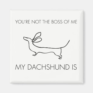 Íman Engraçado você não é o chefe de mim Dachshund