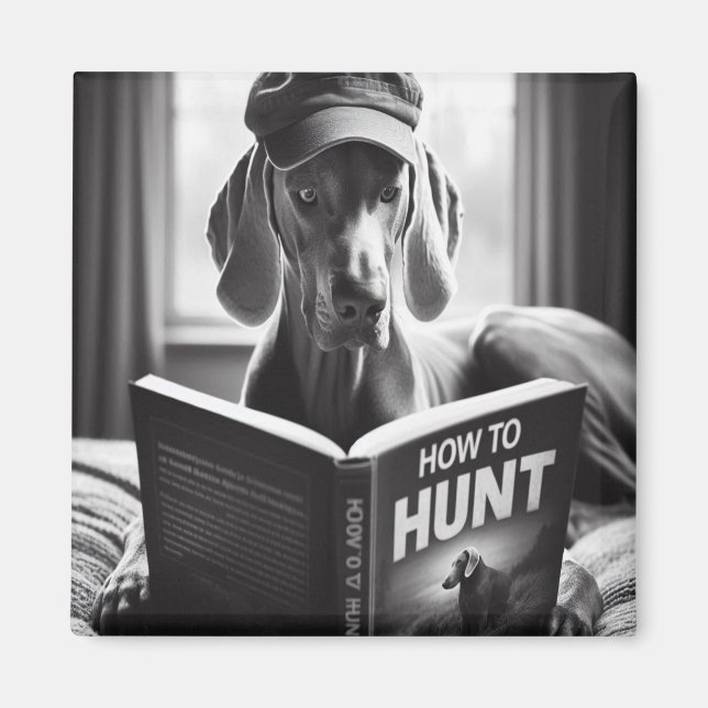 Íman Engraçado Weimaraner lendo um livro sobre como caç (Frente)