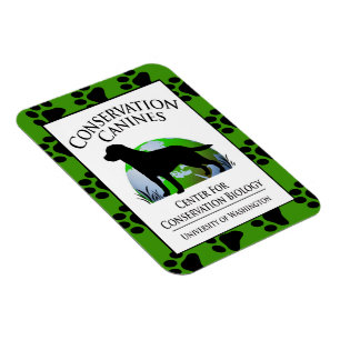 Íman Engrenagem dos caninos da conservação