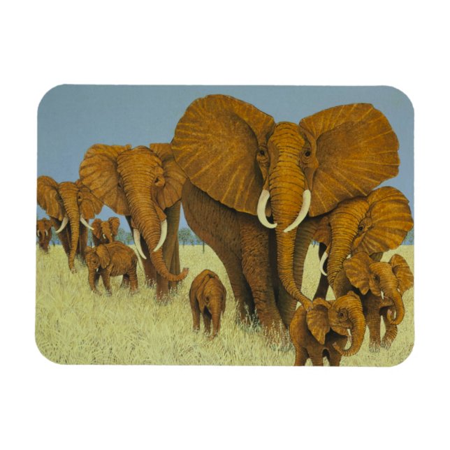 Íman Enorme, mas cuidando (Horizontal)