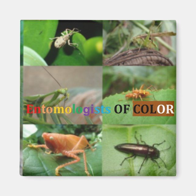 Íman Entomologistas de Cores (Frente)