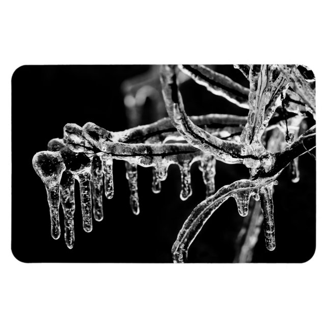 Íman entre no inverno gelado (Horizontal)