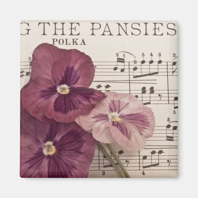 Íman Entre Os Painéis (Frente)