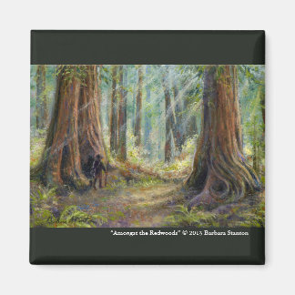 Íman “Entre os Redwoods”