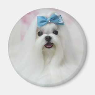 Íman Enviar foto de animal de estimação Cachorro fofo A