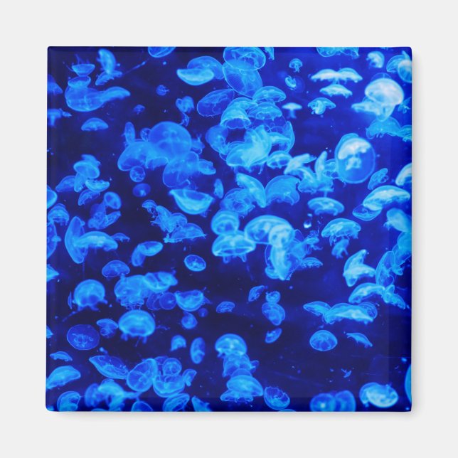 Íman Enxame de medusa (Frente)