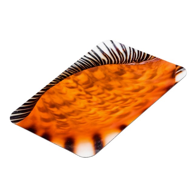 Íman Enxertia em rede (Left Side)