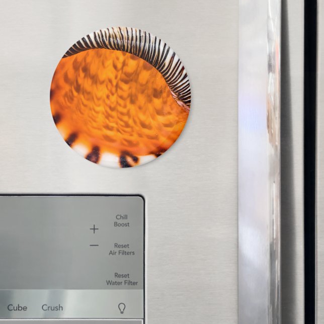Íman Enxertia em rede (In Situ (Fridge))