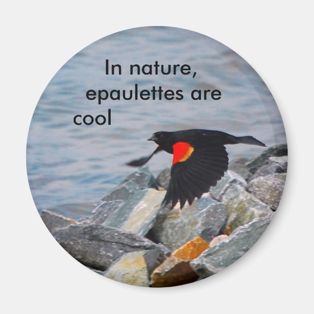 Íman Epaulets são Legal - ímã (Frente)