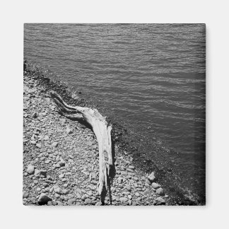 Íman Equilíbrio natural - Madeira imutável