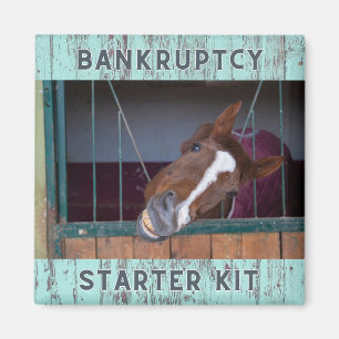 Íman Equine Love: BankrupFT Starter Kit Magnet