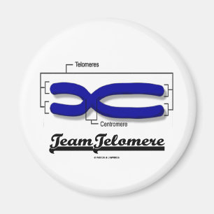 Íman Equipe Telomere (humor da biologia)