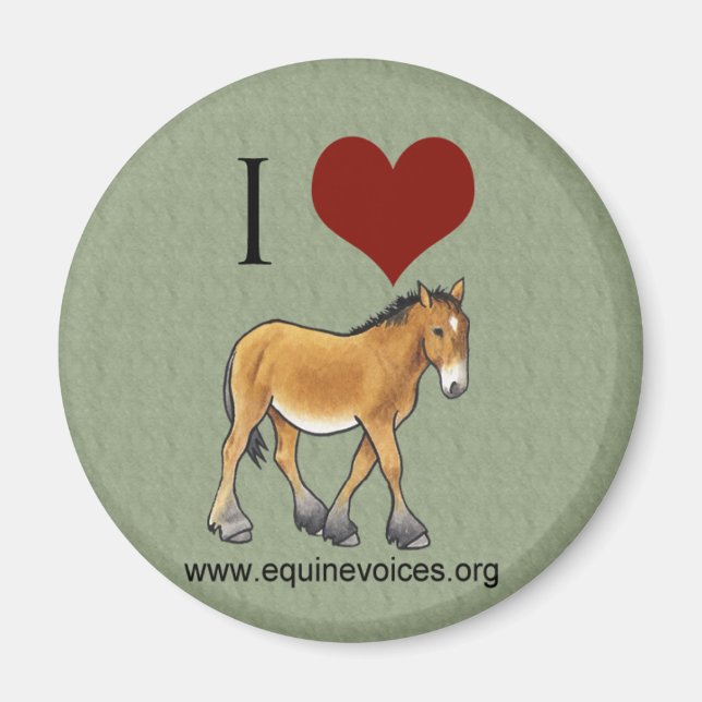 Íman EquVoices I Love Gulliver Green Magnet (Frente)