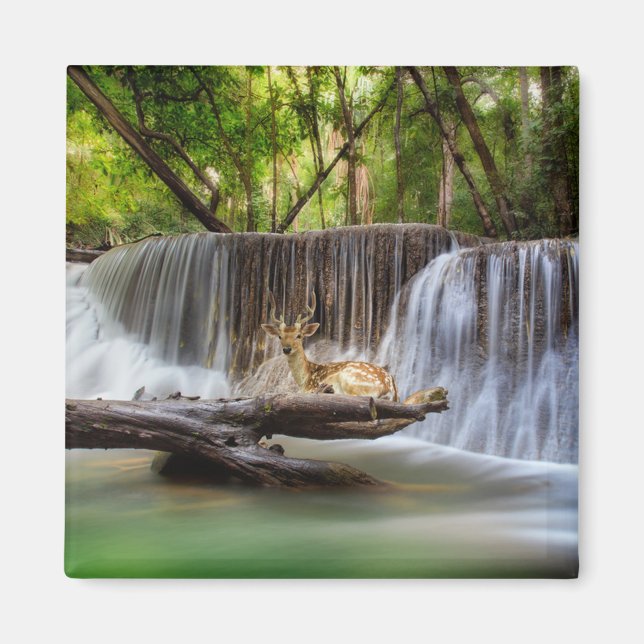 Íman Erawan Waterfall com Deer Relaxing (Frente)