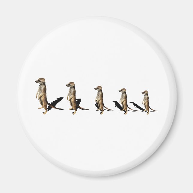 Íman Erdmännchen em linha (Frente)