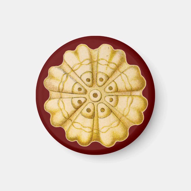 Íman Ernst Haeckel (Frente)