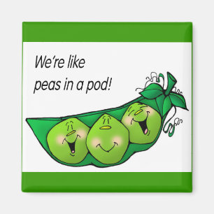 Íman ervilhas em um ímã do vagem