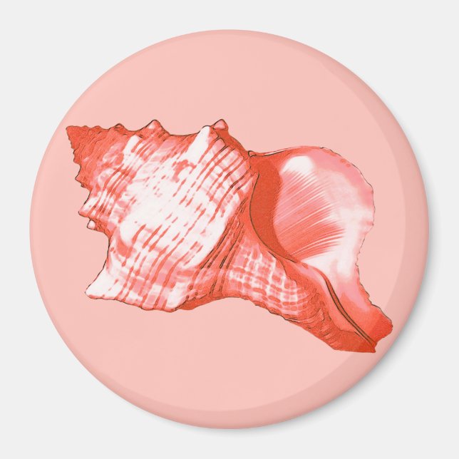 Íman Esboço da concha - coral, rosa-casca e branco (Frente)