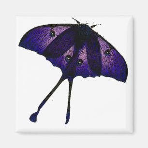 Íman Esboço roxo da fotografia do desenho da borboleta