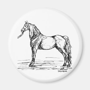 Íman Esboço simples do cavalo de Morgan