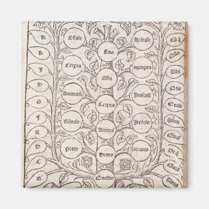 Íman Escada celestial