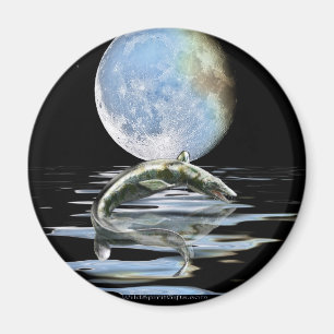 Íman Escala do presente pré-histórico de MOSASAUR & d