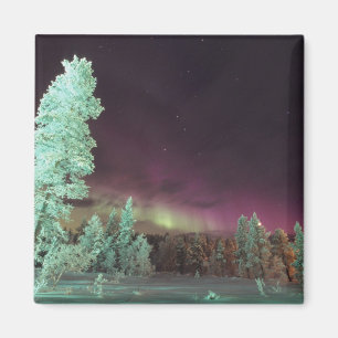 Íman Escandinávia, Finlândia, Lapónia, Kakslauttanen