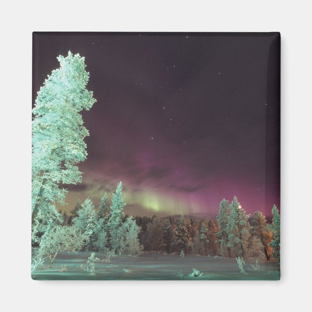 Íman Escandinávia, Finlândia, Lapónia, Kakslauttanen (Frente)