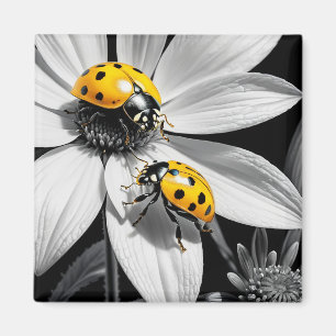 Íman Escaravelho Amarelo Na Flor Branca Preta