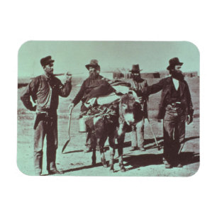 Íman Escavadores de ouro norte-americanos, c.1849 (foto