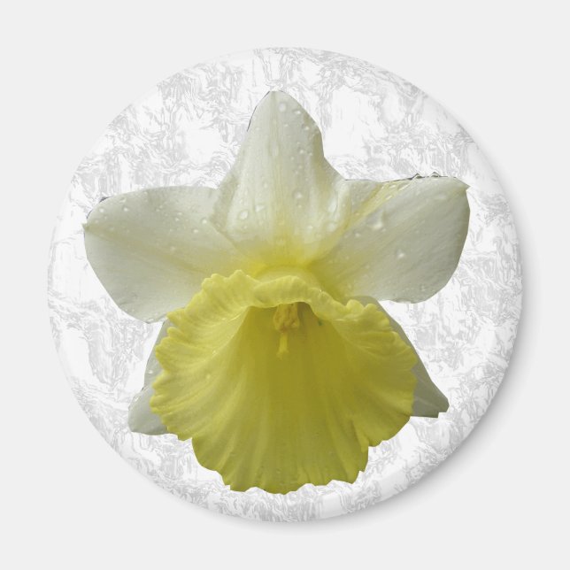 Íman Escoar o ímã Daffodil (Frente)