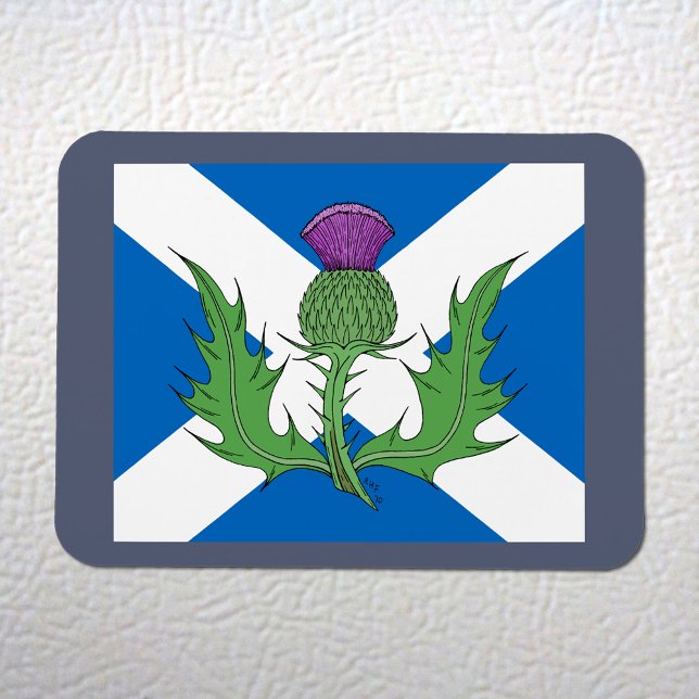 Íman Escocês - Tijolo e Vassoura (Scottish Thistle and Saltire Flexi Magnet on White Fridge)