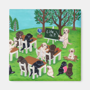 Íman Escola de Labrador