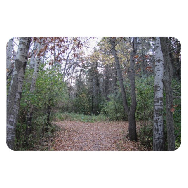 Íman Escolha seu caminho. (Horizontal)