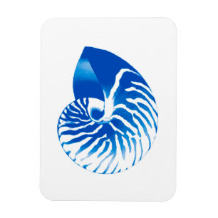 Íman Escudo do nautilus - azuis cobaltos e branco