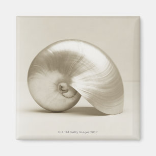 Íman Escudo Pearlised do mar do nautilus
