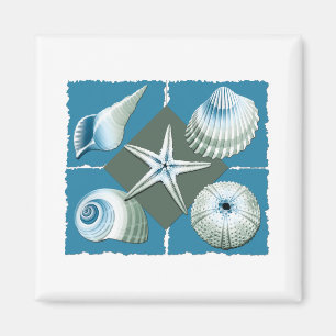 Íman Escudos do mar azul & verde