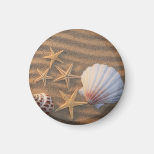 Íman Escudos e estrela do mar do mar