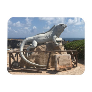 Íman Escultura Isla Mujeres da iguana, ímã da foto de