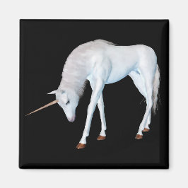 Íman Escutando o ímã