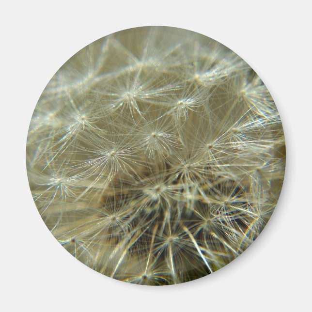 Íman Esfera Fluffy - Magnet (Frente)