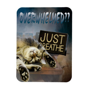 Íman esmagado...apenas respire o ímã 23