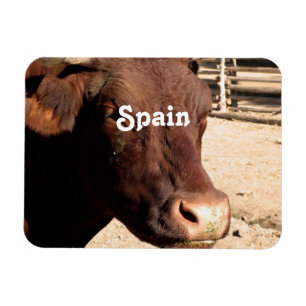 Íman Espanhol Bull