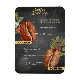 Íman Espécie De Café Ao Longo Do Café